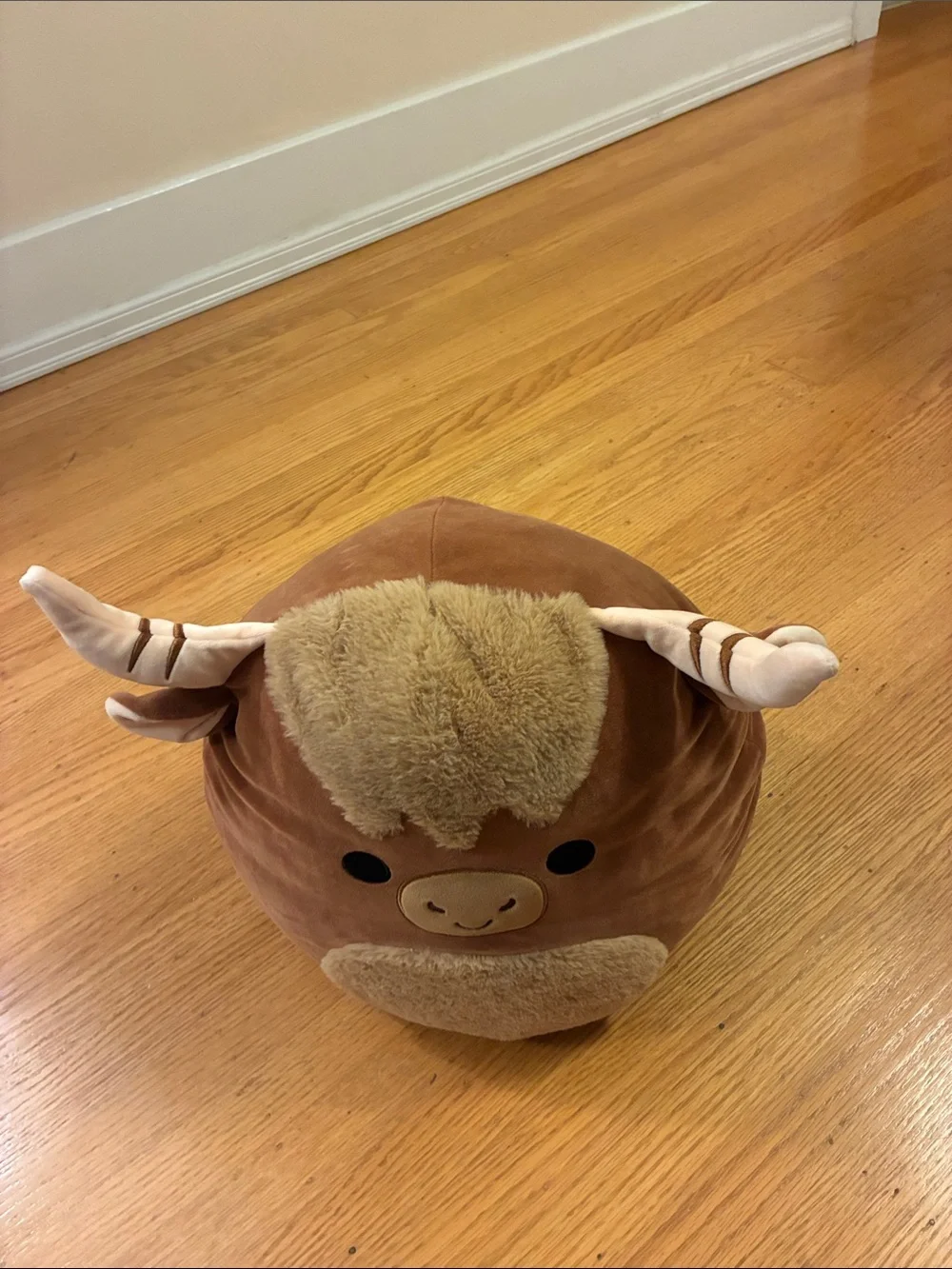 Squishmallow Angus Cow